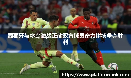 mk体育官方网站